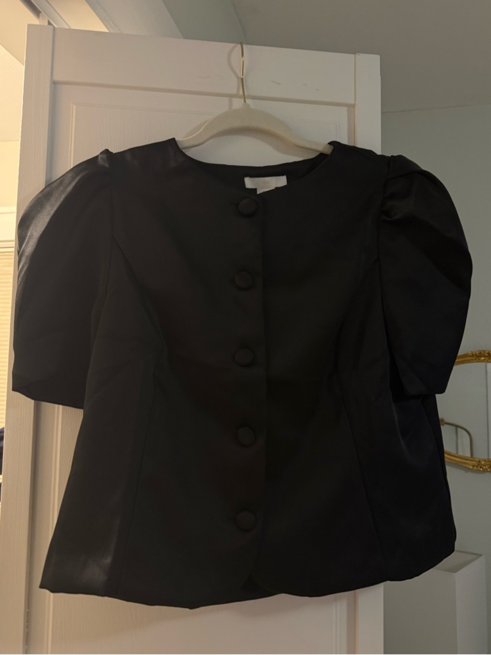 H&M Button Puff Sleeve Satin Blouse